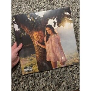 Olivia Rodrigo You Seem Pretty Sad For A Girl So In Love Target Numbered Vinyl